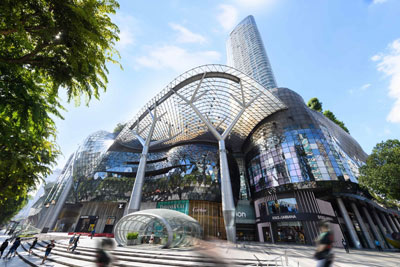 138-ion-orchard-site-size-2.jpg